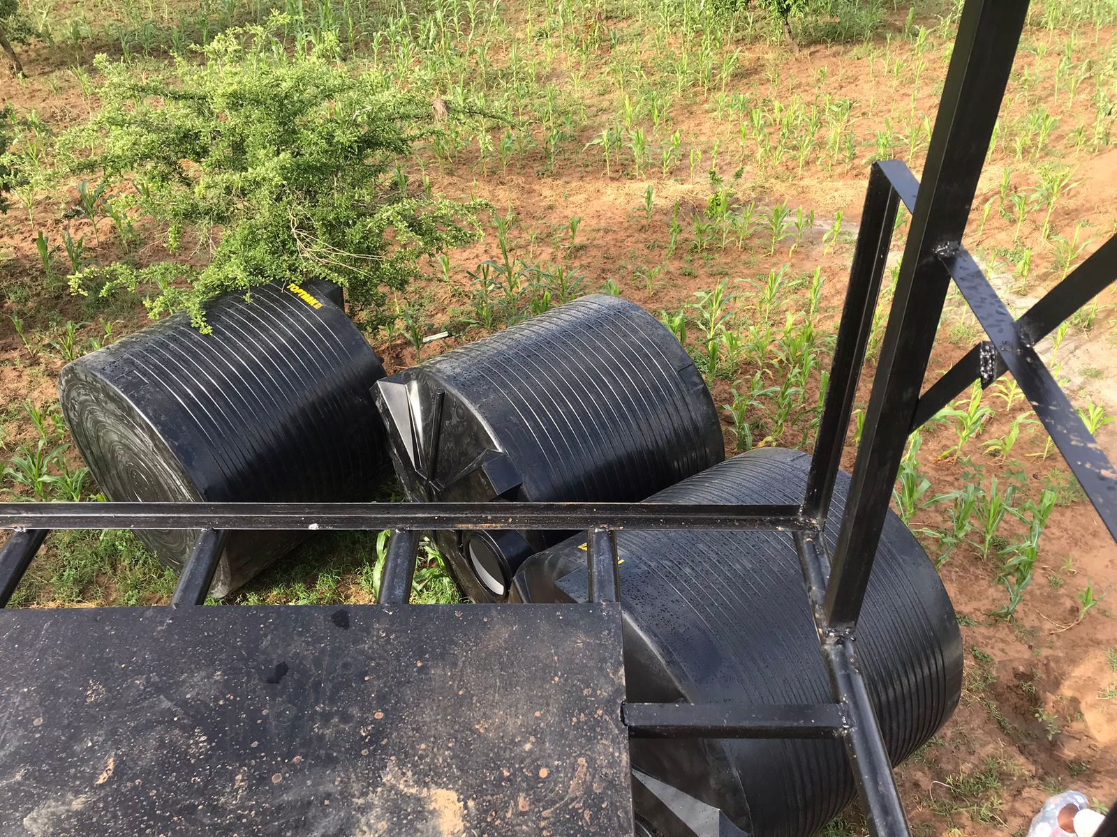 WhatsApp Image 2024-01-25 at 21.36.58_4052a90c